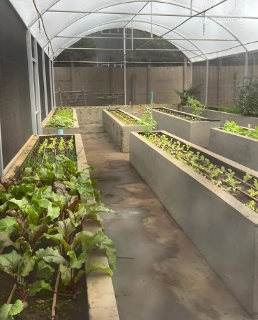 Foto 3 — Projeto de Extensão Lar dos Vovôs