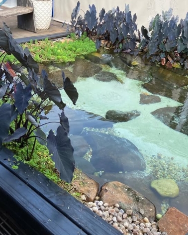 Foto 7 — Projeto de Extensão Lar dos Vovôs